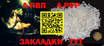 СК Новокубанск